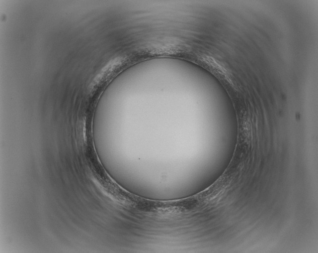 X0000075380686200609251152