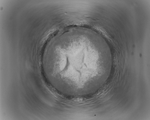 X0000075380687200609251152