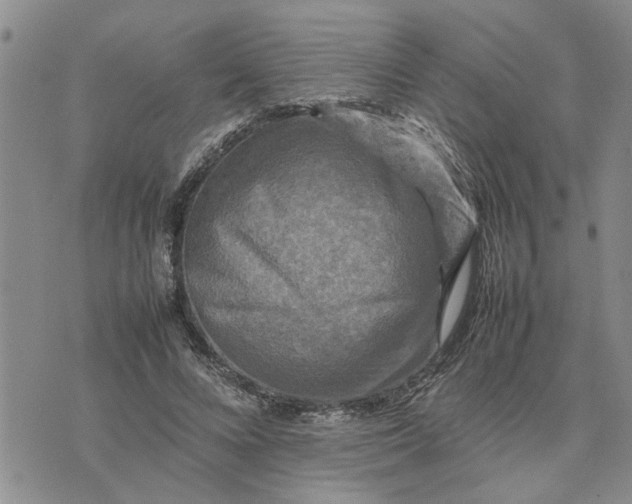 X0000075380688200609251152