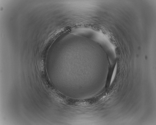 X0000075380689200609251152