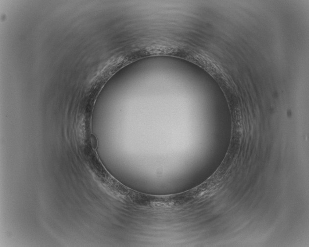 X0000075380690200609251152