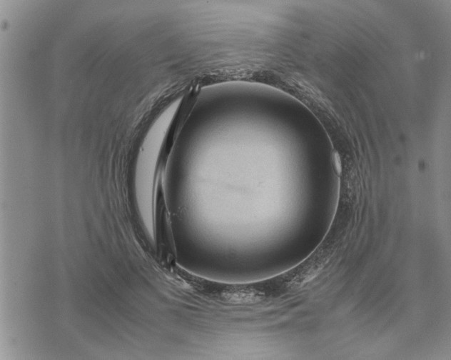 X0000075380693200609251152