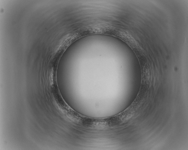 X0000075380694200609251152