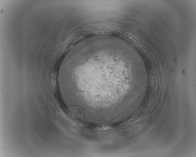 X0000075380695200609251152