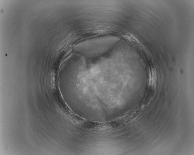 X0000075380696200609251152