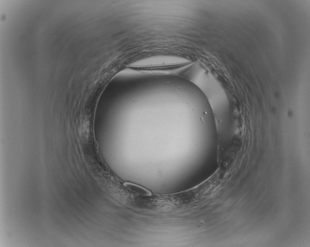 X0000075380697200609251152