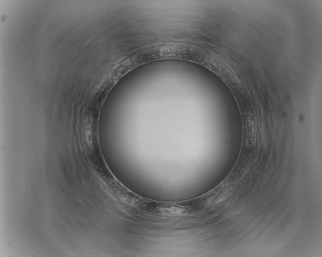 X0000075380698200609251152