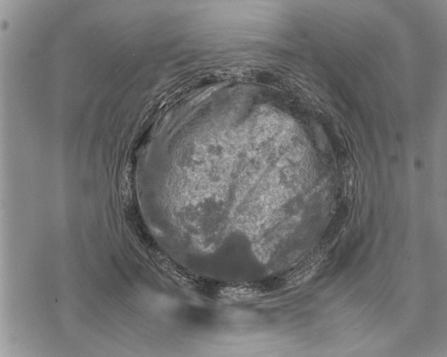 X0000075380699200609251152