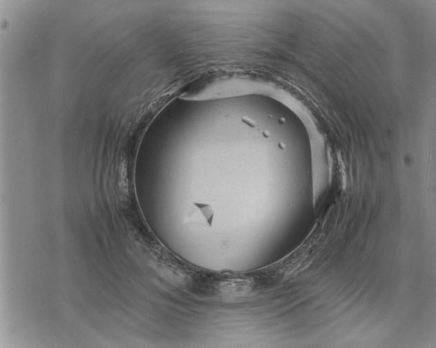 X0000075380700200609251152