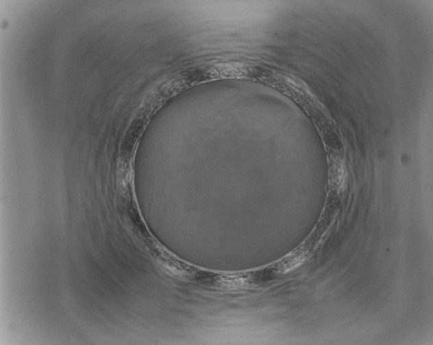 X0000075380701200609251152