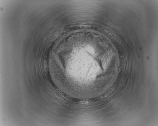 X0000075380704200609251152