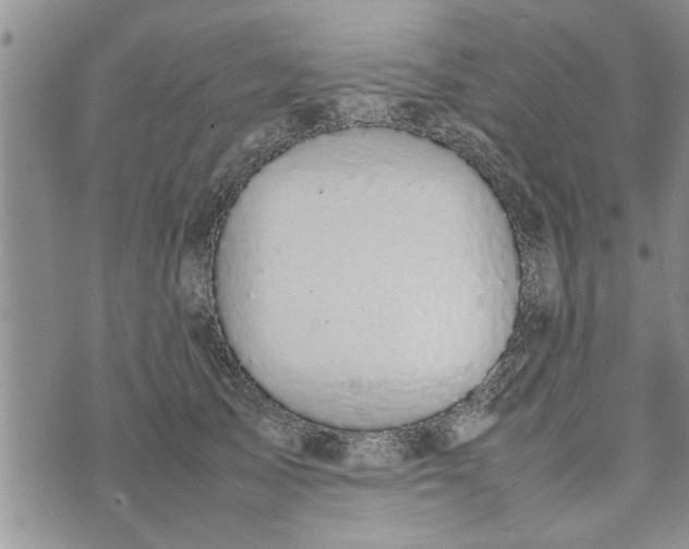 X0000075380705200609251152