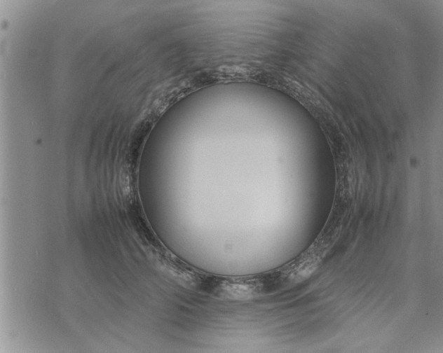 X0000075380706200609251152