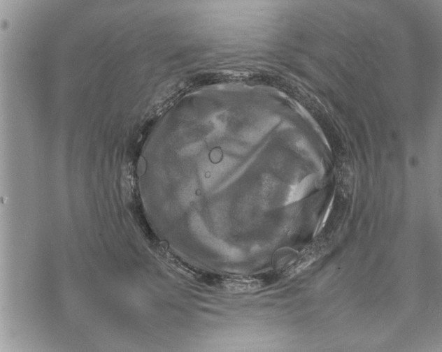 X0000075380707200609251152