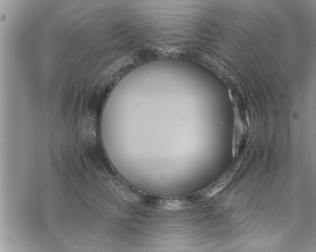 X0000075380710200609251152