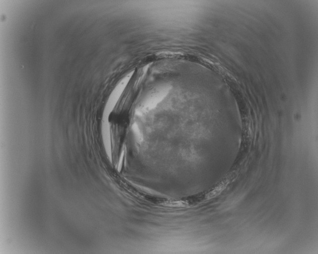 X0000075380711200609251152