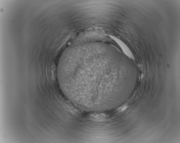 X0000075380712200609251152