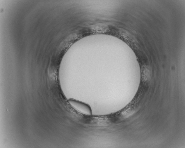 X0000075380713200609251152