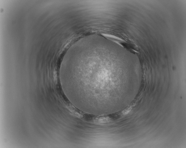 X0000075380716200609251152