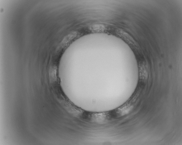 X0000075380717200609251152