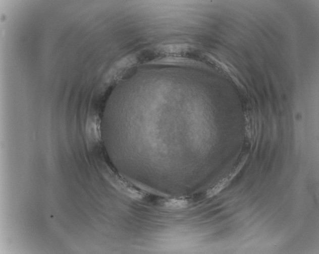 X0000075380718200609251152