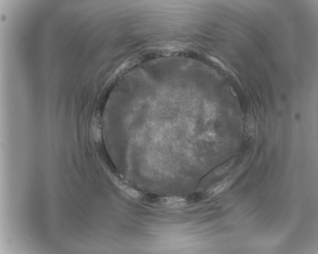 X0000075380719200609251152