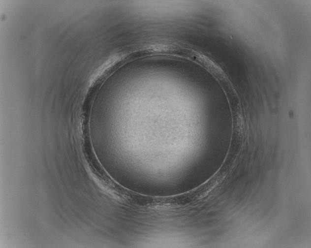 X0000075380730200609251151