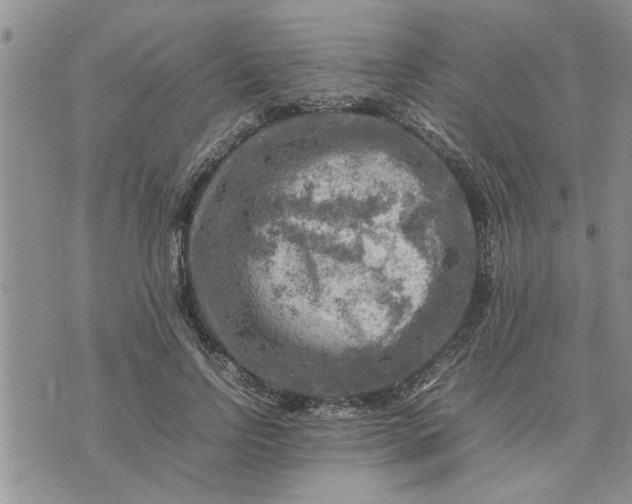 X0000075380742200609251151