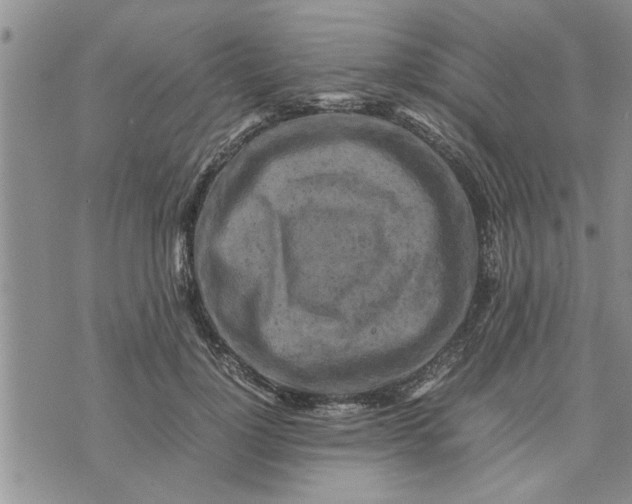 X0000075380748200609251152