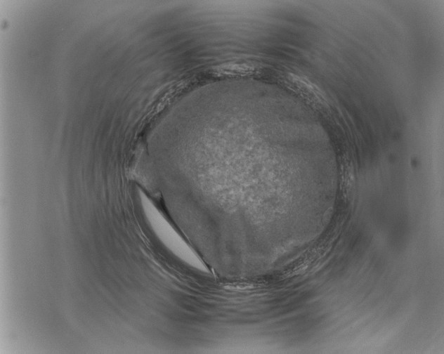 X0000075380749200609251152