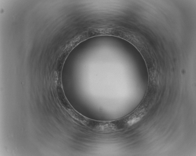 X0000075380752200609251152