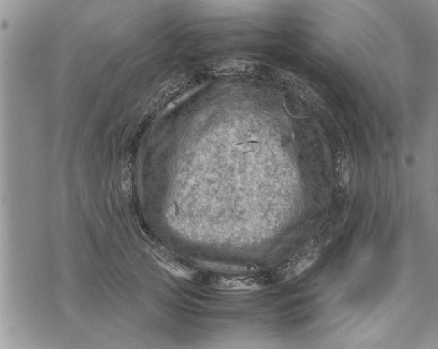 X0000075380753200609251152