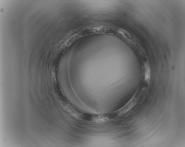 X0000075380754200609251152