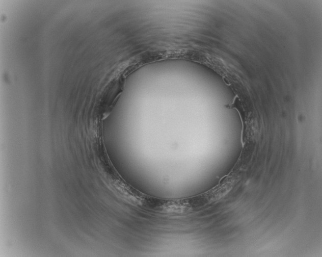 X0000075380756200609251152