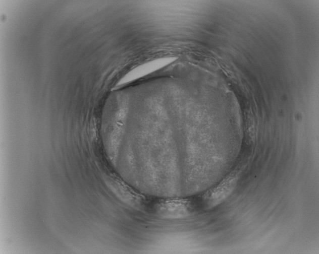 X0000075380758200609251152