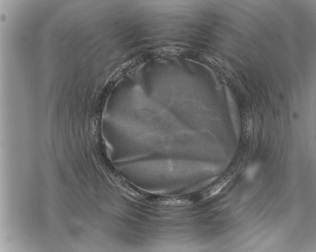 X0000075380759200609251152