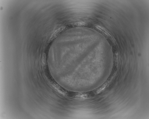 X0000075380760200609251152