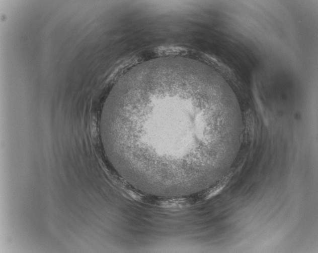 X0000075380761200609251152