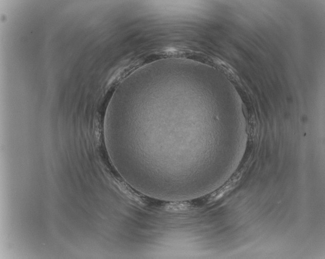 X0000075380762200609251152