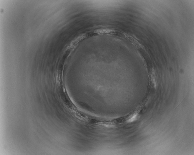 X0000075380763200609251152