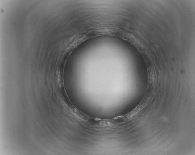 X0000075380764200609251152