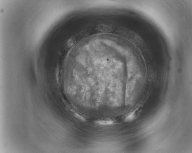 X0000075380765200609251152