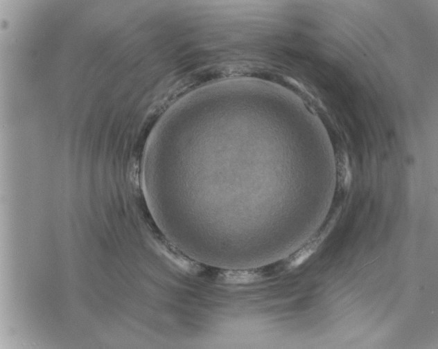 X0000075380766200609251152