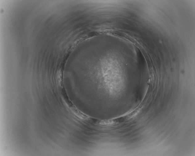 X0000075380767200609251152