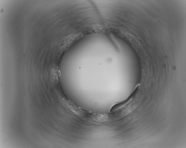 X0000075380768200609251152