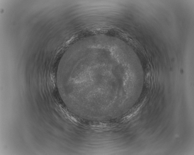 X0000075380772200609251151