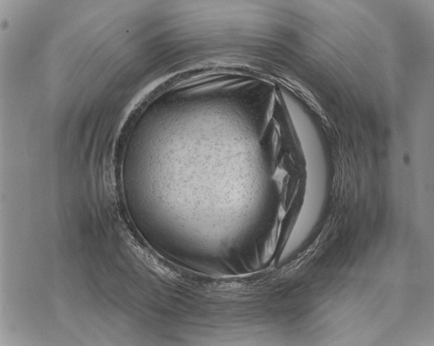 X0000075380784200609251151