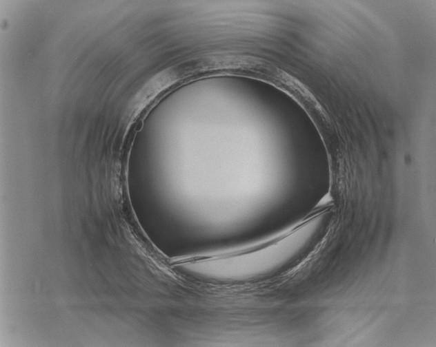 X0000075380786200609251151