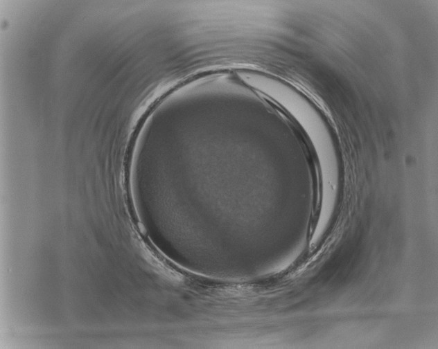 X0000075380797200609251151