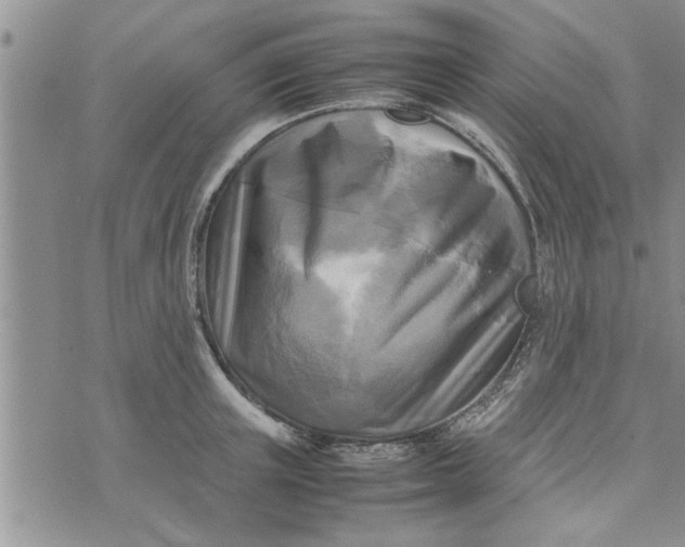 X0000075380851200609251150